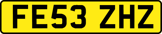FE53ZHZ
