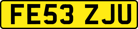 FE53ZJU