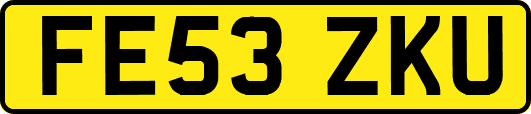 FE53ZKU