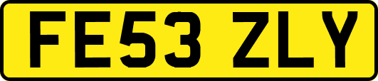 FE53ZLY
