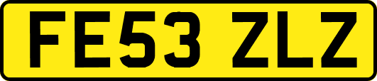 FE53ZLZ