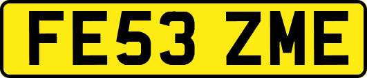 FE53ZME
