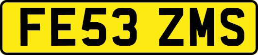 FE53ZMS