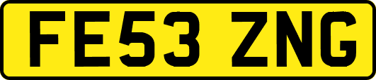 FE53ZNG