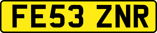 FE53ZNR
