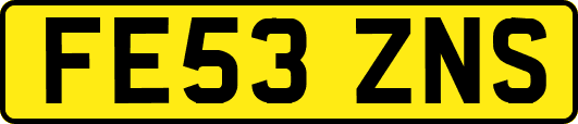 FE53ZNS