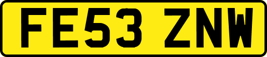 FE53ZNW