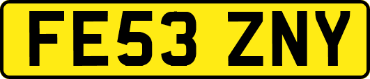 FE53ZNY