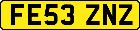 FE53ZNZ