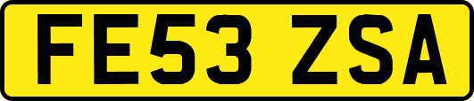 FE53ZSA