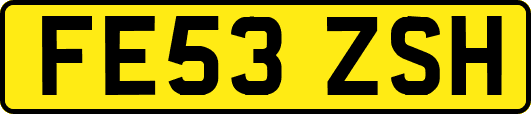 FE53ZSH