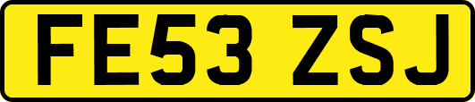 FE53ZSJ