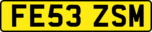 FE53ZSM