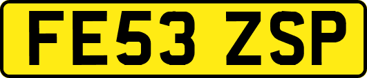 FE53ZSP