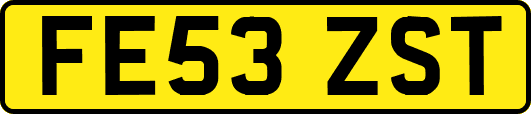 FE53ZST