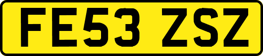 FE53ZSZ