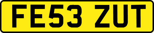 FE53ZUT