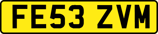 FE53ZVM
