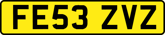 FE53ZVZ