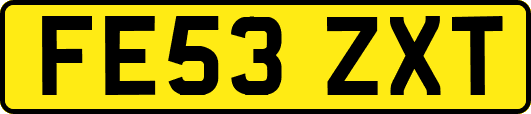 FE53ZXT