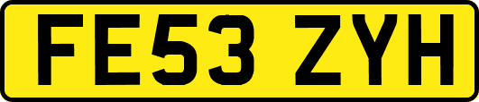 FE53ZYH