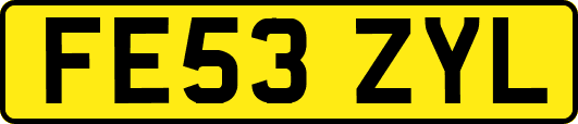 FE53ZYL
