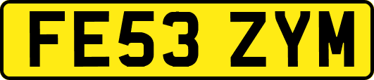 FE53ZYM