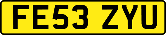 FE53ZYU
