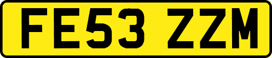 FE53ZZM