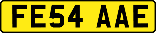 FE54AAE