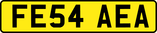 FE54AEA