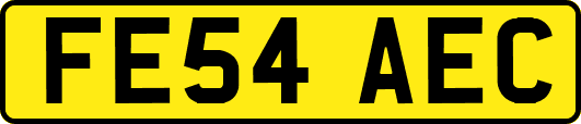 FE54AEC