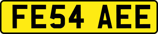 FE54AEE