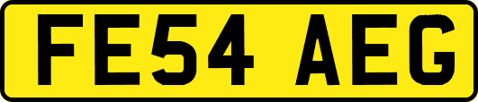 FE54AEG