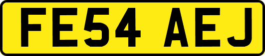 FE54AEJ