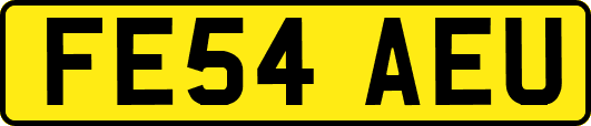 FE54AEU