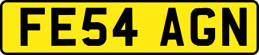 FE54AGN