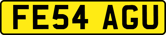 FE54AGU