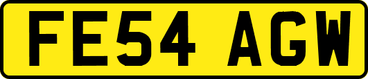 FE54AGW