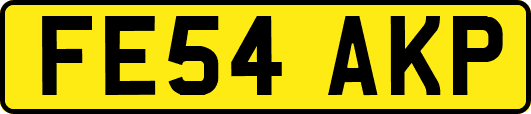 FE54AKP