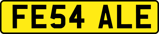 FE54ALE