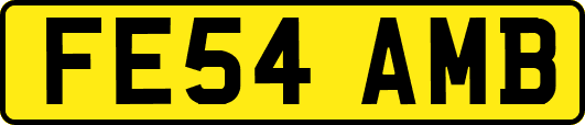 FE54AMB