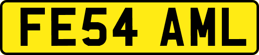 FE54AML