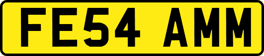 FE54AMM