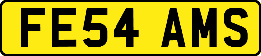 FE54AMS