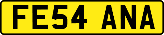 FE54ANA