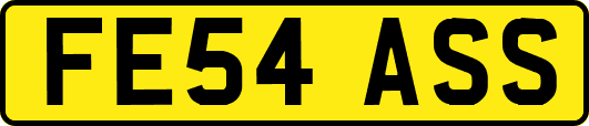 FE54ASS