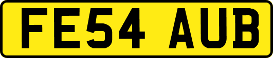FE54AUB