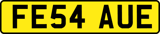 FE54AUE