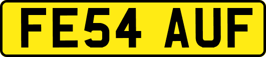 FE54AUF
